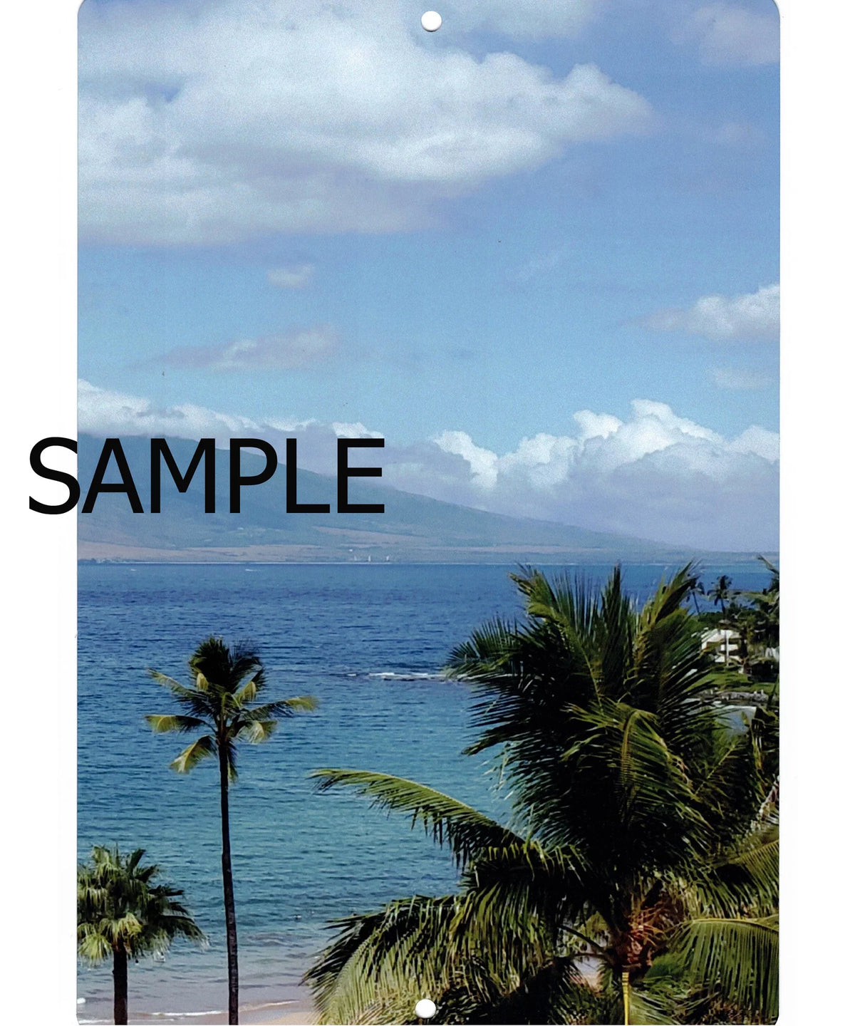12in x 16in Metal Print J1595