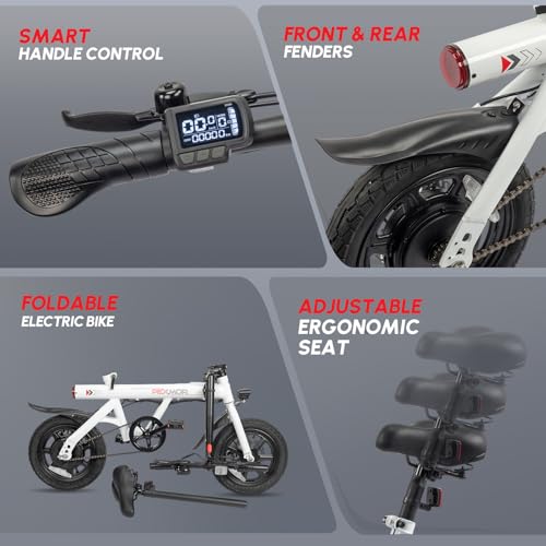 14" Folding Electric Bike 350W Motor 36V 6AH Battery M987