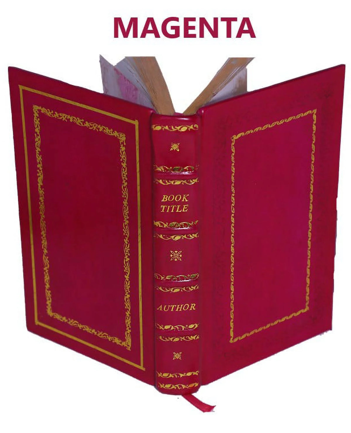 The thermionic vacuum tube and its applications 1920 Premium Leather Bound Y84735