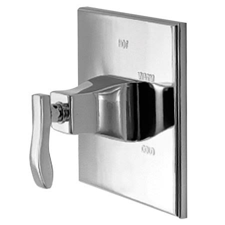 Stainless Steel Pressure Balanced Shower Trim T17955