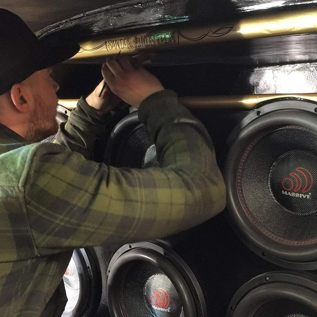 10 Inch Car Audio Subwoofer 700 Watt RMS Dual 2 Ohm W622
