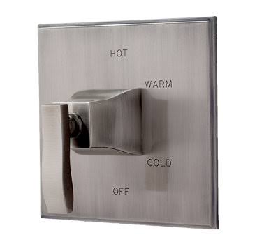 Stainless Steel Pressure Balanced Shower Trim T17955